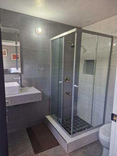 uma casa de banho com um chuveiro, um lavatório e um WC. em Boonoonoonous em Kingston