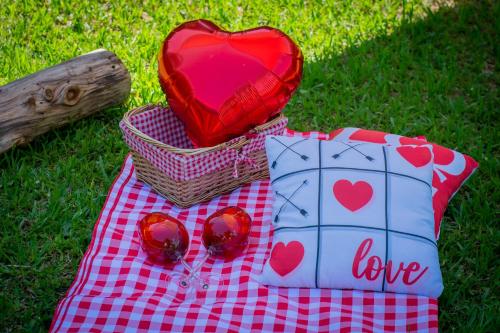a red heart sitting on top of a picnic blanket at T24 Tinyhouse Container in Ibiúna