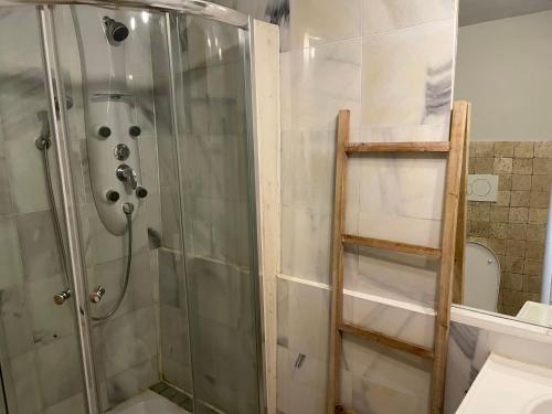 a shower with a glass door and a ladder in a bathroom at Baita cavalese giardino esclusivo in Cavalese