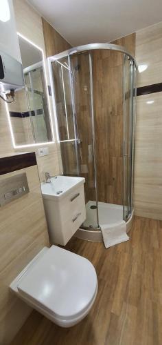 La salle de bains est pourvue d'une douche, de toilettes et d'un lavabo. dans l'établissement Apartament Roanta, à Polanica-Zdrój