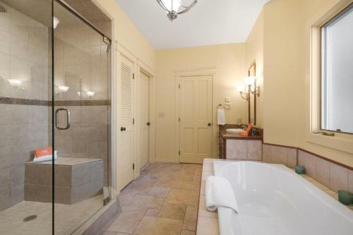 a large bathroom with a tub and a shower at 1558 Hinkson Terrace in Ouray