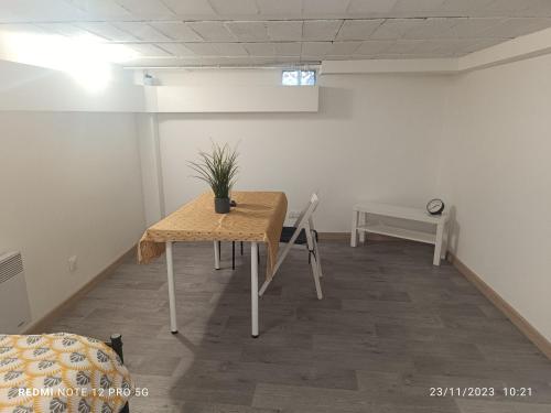 une chambre avec une table et une plante sur elle dans l'établissement Studio à louer à Orly, à Orly