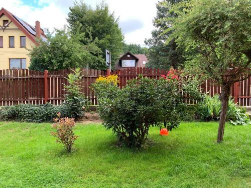 a yard with a wooden fence and some bushes at LOFT-LUX Apartment in Jelenia Góra