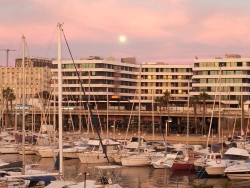 un grupo de barcos atracados en un puerto deportivo con un edificio en Mar y Pepa, en Barcelona