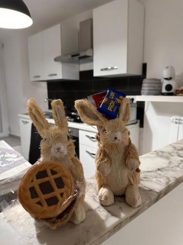 two stuffed rabbits sitting on a counter in a kitchen at La casa di Stella in Isernia