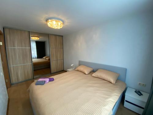 a bedroom with a large bed with a mirror at Rezekne Cozy Stay in Rēzekne