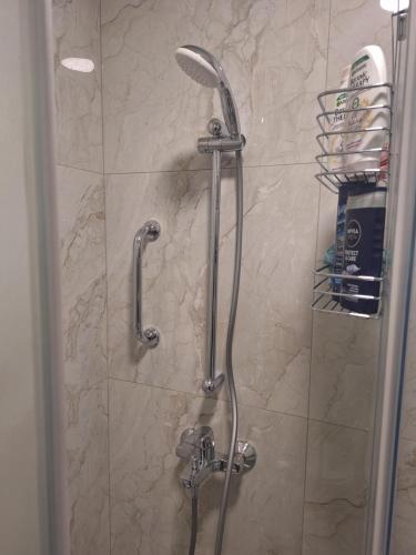 a shower in a bathroom with a glass door at Apartman u Zemunu in Zemun
