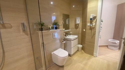 un bagno con wc, doccia e lavandino di شقة مميزة بحي الملقا a Riyad