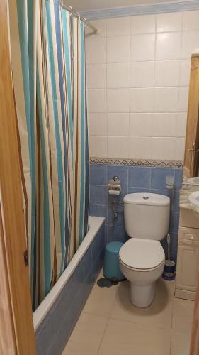 a bathroom with a toilet and a shower curtain at Apartamento Medina in Morche