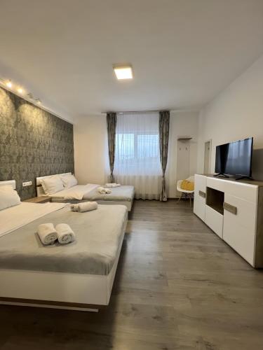 una habitación de hotel con dos camas y un televisor de pantalla plana en Salt Mine Retreat - Free Parking, en Turda