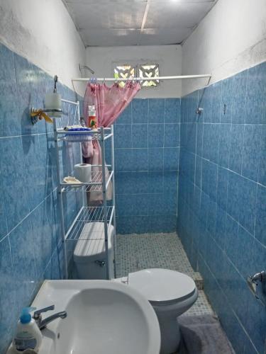 W wyłożonej niebieskimi kafelkami łazience znajduje się toaleta i umywalka. w obiekcie Hostal Ebenezer w mieście Palmilla