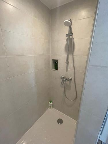 ein Bad mit einer Dusche mit einem Duschkopf in der Unterkunft Dépendance privative dans villa in Genay