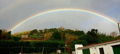 Φυσικό τοπίο κοντά σε αυτό το διαμέρισμα