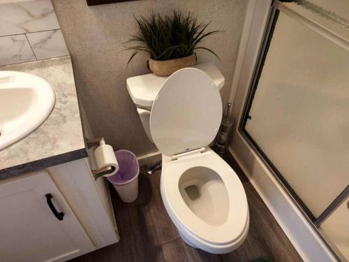 a bathroom with a toilet with a plant on top of it at Lake Front Lake House Paradise! in Pittsburg