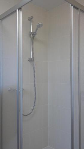 a shower with a glass door in a bathroom at Unseburger Brauhaus GmbH FW 4 in Unseburg