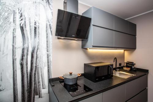 Kuchyň nebo kuchyňský kout v ubytování DEER LODGE Mountain view apartment with ski-in access