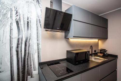 Kuchyň nebo kuchyňský kout v ubytování DEER LODGE Mountain view apartment with ski-in access
