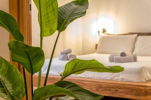 a bedroom with a bed and a large green plant at BoHo by the Beach in Alghero