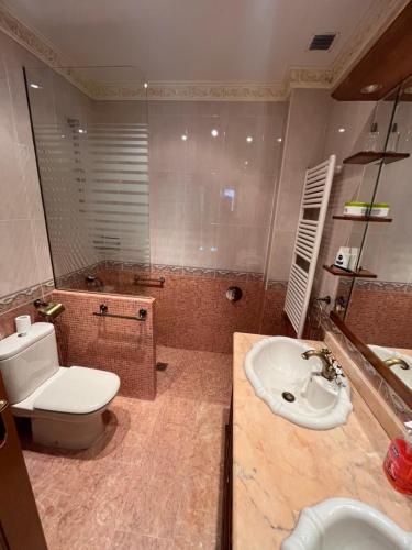 a bathroom with a toilet and a sink at Suite en el centro de Elche in Elche