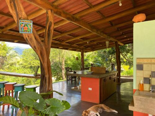 an outdoor kitchen with a dog laying on the floor at Alouatta Playa Coyote in San Francisco