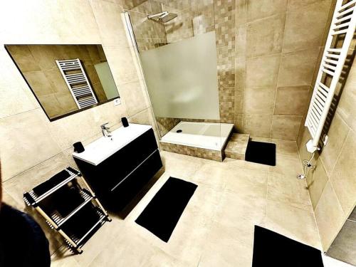 尚蒂伊的住宿－Appartement duplex à Chantilly centre，一间带水槽和镜子的浴室