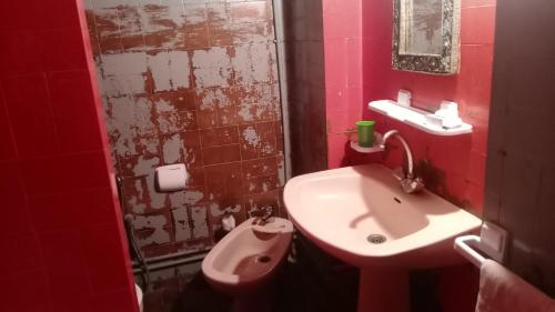 uma casa de banho vermelha com um lavatório e um WC em the river house em Aghbalou