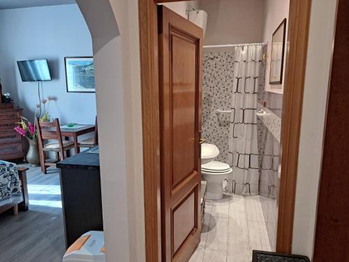 カンピ・ビゼンツィオにあるIL REGNO DI IOSE'のトイレとシャワー付きのバスルーム