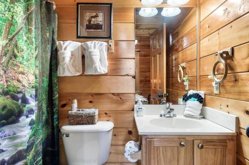 een badkamer met een toilet en een wastafel bij Take My Breath Away - Wow Fall Views, Hot Tub, Pool Table, Fish Ponds in Sevierville