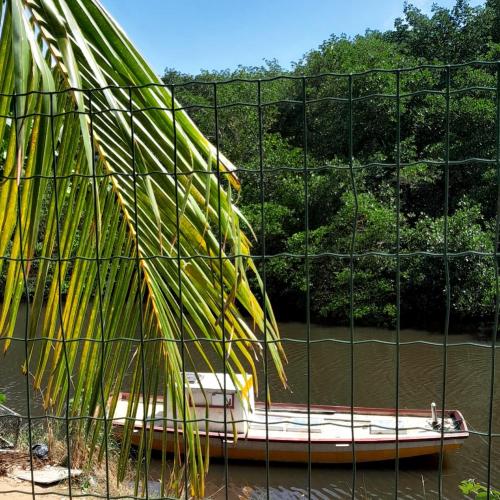 Naturlandschaft in der Nähe des Ferienhauses