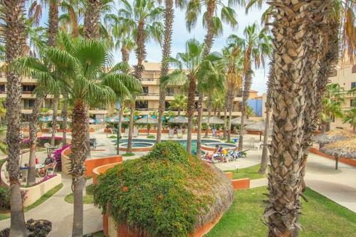 a view of a resort with palm trees and a park at Club la Costa- alberca, jacuzzi y caminando al mar in San José del Cabo