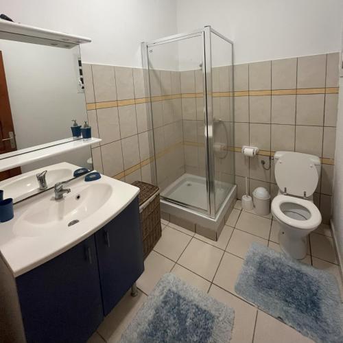 a bathroom with a shower and a toilet and a sink at SAPHIR-Villa Le Colibri in Dubédou