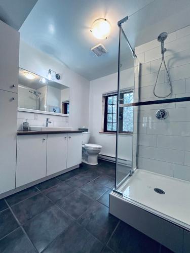 a bathroom with a shower and a sink and a toilet at Chalet Rustique CRDS Tremblant in Lac-Superieur