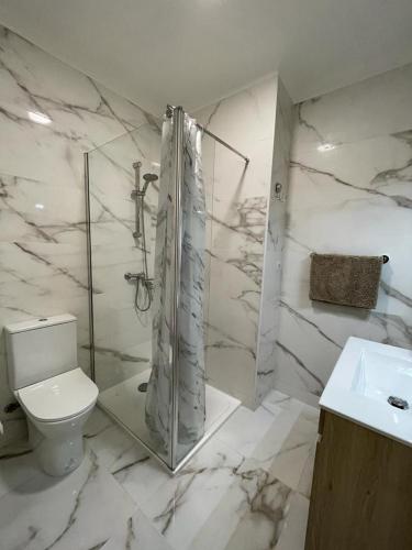 a bathroom with a shower and a toilet and a sink at Villa Dona Rosa - Viana do Castelo in Viana do Castelo