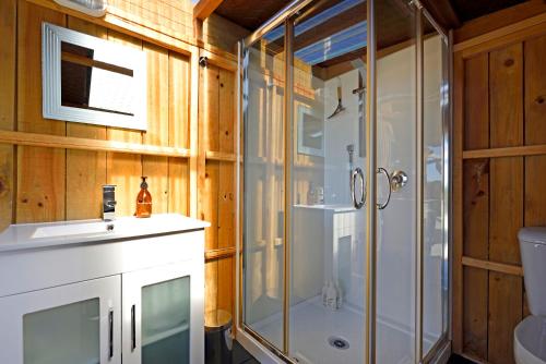 a bathroom with a shower and a sink at The shed with a view in Mahana