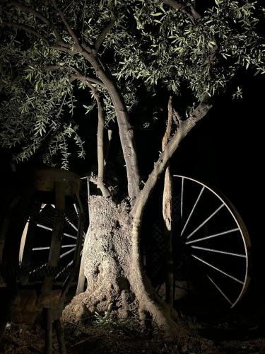 Andeswine – Photos 5