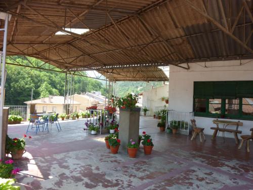an outdoor patio with potted plants and tables and chairs at Pensión Fonda Vilalta in Ribes de Freser