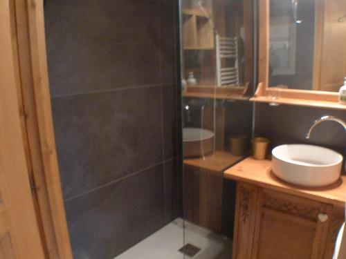 une salle de bain avec douche et lavabo dans l'établissement Appartement 2 pièces avec mezzanine, balcon et parking près centre Samoëns - FR-1-629-135, à Samoëns