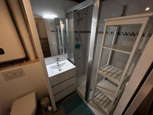 une salle de bain avec une douche, un lavabo et des toilettes dans l'établissement Mazet climatisé aux Issambres, 10 min à pied de la plage, avec terrasse et parking. - FR-1-768-54, aux Issambres