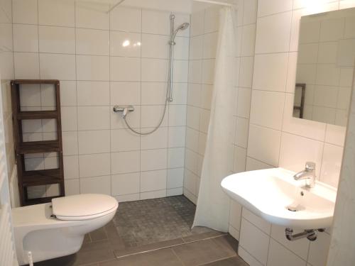 a bathroom with a toilet and a sink and a shower at Wohnwerk41 in Schwäbisch Hall