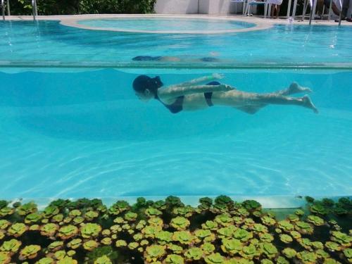 a woman swimming in the water next to a bunch of plants at La bella tagaytay- Casa Raffa in Tagaytay