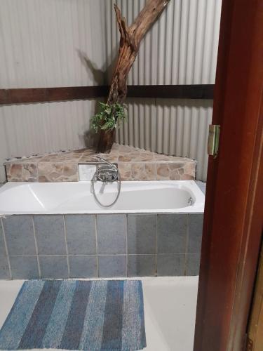 a bathroom with a bath tub with a plant in it at Shangrila-innibos Country Lodge in Hartbeespoort