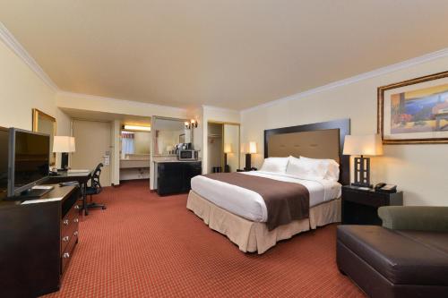 a hotel room with a bed and a television at Holiday Inn Rancho Cordova - Northeast Sacramento, an IHG Hotel in Rancho Cordova
