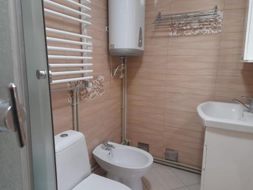 een kleine badkamer met een toilet en een wastafel bij Затишний будиночок біля річки in Krivorovnya