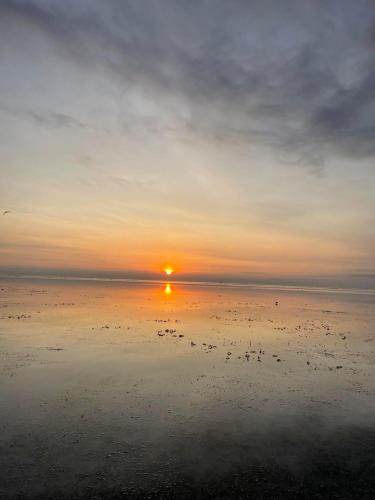 a sunset on the beach with birds in the water at Myhoa Lagoon - Kiting Town in Phan Rang