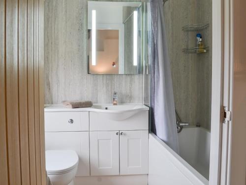 een badkamer met een wastafel, een toilet en een spiegel bij Lower Netherdowns in Littleham