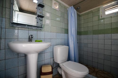 La salle de bains est pourvue d'un lavabo, de toilettes et d'un miroir. dans l'établissement Nika house, à Tskhaltubo