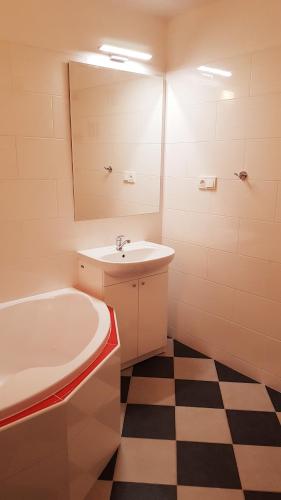 a bathroom with a tub and a sink and a mirror at APARTMÁNY POD ČERCHOVEM in Trhanov