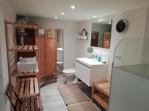 une salle de bain avec toilettes, lavabo et miroir dans l'établissement Un paradis au milieu des vignobles de Bourgogne, à Uchizy