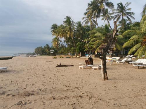 a beach with chaise lounges and palm trees at Bashi eco beach cabana in Trincomalee