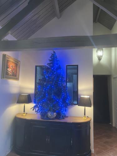 a blue christmas tree sitting on top of a cabinet at Hameau du Château de Giverzac, gîtes luxueuses in Domme